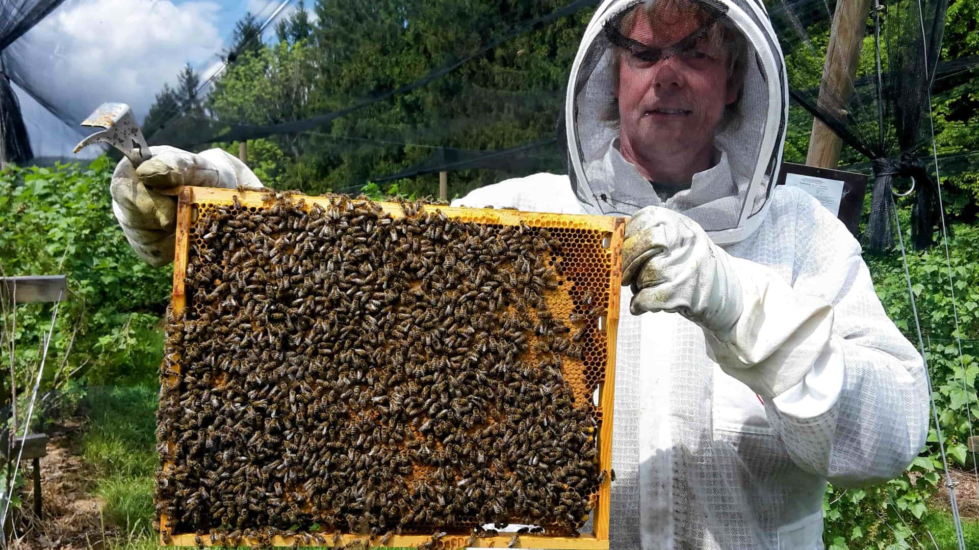 Imker Franz Backhaus